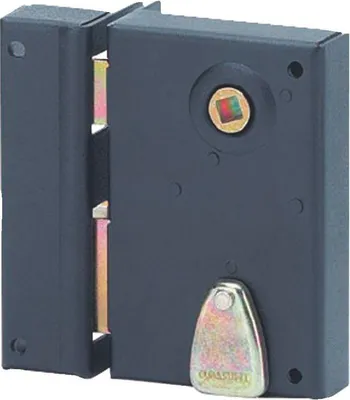 Image de Serrure verticale en applique 4 gorges pour poignée pour entrée, gauche, axe 40mm, carré 7mm, 70x110mm, noir, 2 clés - THIRARD