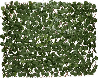 Kunsthaag ausziehbar 180x90 cm – Kunstklimop für Außen & Innen