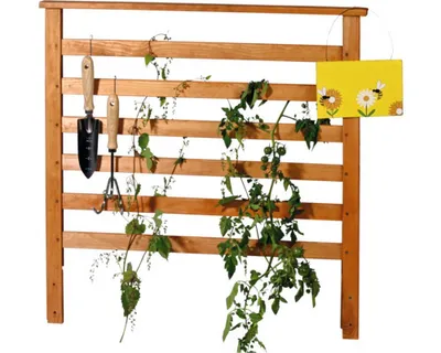 A wooden trellis with plants and gardening tools.