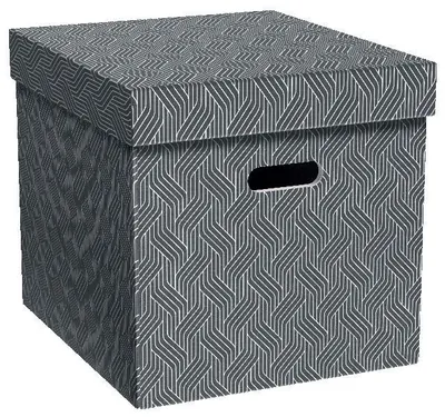 Zdjęcie produktu dla Pudełko do przechowywania LEITZ, model Cube, kolor szary