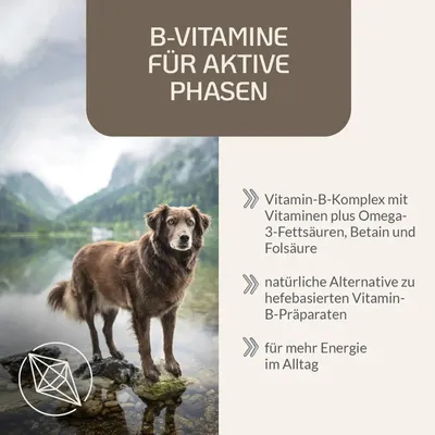 Produktbild von 73 g - 120 Tabletten - B-Vital