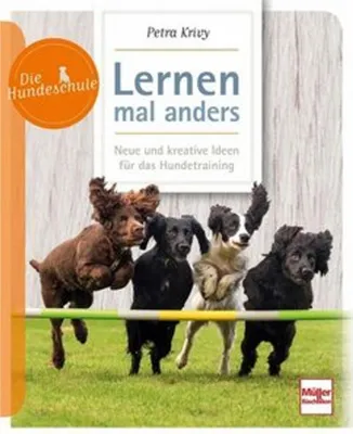 Produktbild von Lernen - mal anders