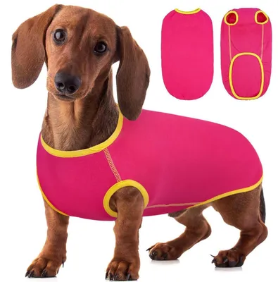 Produktbild von Dackel Pullover Rosa XL Baumwolle/Elasthan Ärmellos