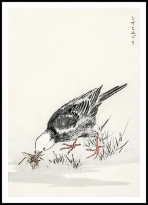 Immagine prodotto di Poster 70x100cm Bulbul, Kashu giapponese vintage per il salotto