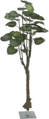 Immagine prodotto di EUROPALMS Albero di Pothos, pianta artificiale, 150 cm