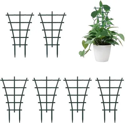 Immagine prodotto di 6 diffusori di umidità verde scuro per piante