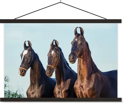 Produktbild von MuchoWow® Textilposter Pferde - Halfter - Braun 90x60 cm mit schwarzem Rahmen - Aufhängungssatz