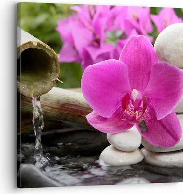 Produktbild von Bild auf Leinwand - Leinwandbild - Orchidee Bambus Dekoration Spa - 30x30cm - Wand Bild - Wanddeko - Leinwanddruck - Bilder - Kunstdruck - Wanddekoration - Leinwand bilder - Wandkunst - AC30x30-2666