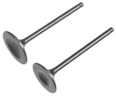 Zdjęcie produktu dla Zawory Cedrus agregat CEDAG8E-1F 12110-Z0D0210-00A0