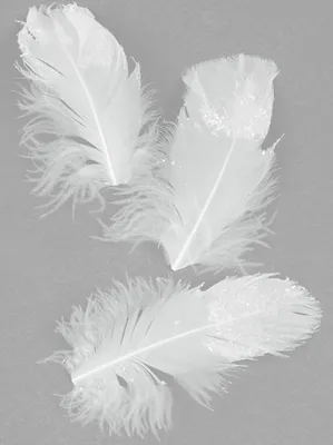 Produktbild von 20 Federn Weiß Glitzer 9 cm - Einheitsgröße