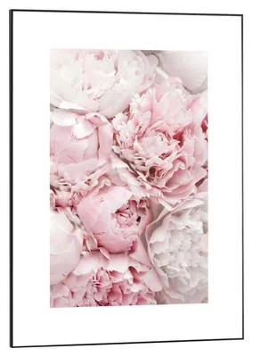 Produktbild von Wandbild - Rosa - Weiß - 50 x 70 cm - mit Blumen in rosa und weiß
