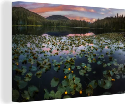 Produktbild von OneMillionCanvasses® - Leinwandbilder - 140x90 cm, Lilien auf einem See, Wandbilder Kunstdruck Wanddekoration