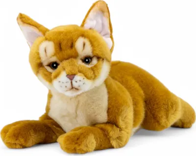 Immagine prodotto di Carl Dick gatto abissino di circa 30 cm, peluche, peluche, peluche 3722