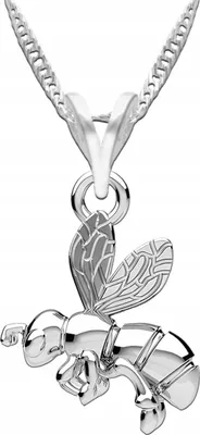 Image de Collier en argent avec abeille, insecte, guêpe, ARGENT 925