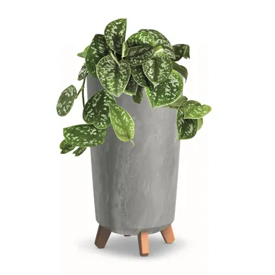 Produktbild von Blumentopf mit Füßen Hoh Pflanzkübe D 20 cm hell Grau Kunststoff Töpfe Beton Optik Übertöpfe Geldbaum Kakteen Gummibaum