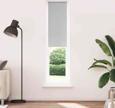 Produktbild von Verdunkelungsrollo Hellgrau 55x230 cm Stoffbreite 50,7 cm, Rollos DesignMöbel