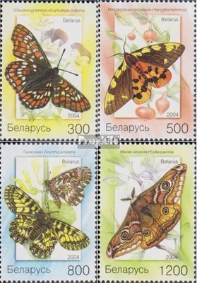 Produktbild von Briefmarken Weißrussland 2004 Mi 557-560 (kompl.Ausg.) postfrisch Schmetterlinge