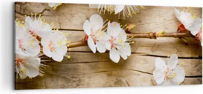 Produktbild von Bild auf Leinwand - Leinwandbild - Blume Stängel - 120x50cm - Wand Bild - Wanddeko - Wandbilder - Leinwanddruck - Bilder - Kunstdruck - Wanddekoration - Leinwand bilder - Wandkunst - AB120x50-3537