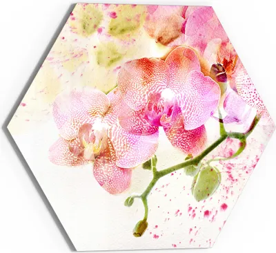 Produktbild von DEQORI Glasbild Echtglas 55x48 cm 'Orchideenflüstern' Wandbild Bild modern Deko