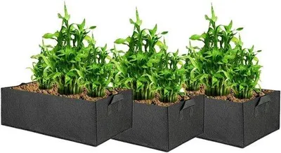 Image de Grands sacs réutilisables pour la croissance des plantes - Pots rectangulaires en tissu respirant - Jardin pour fleurs, pommes de terre, tomates, carottes - Noir 40x30x20cm - Set de 3