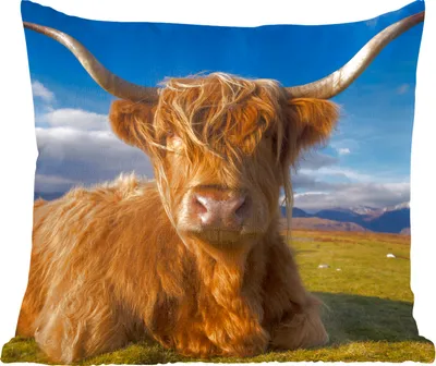 Produktbild von MuchoWow® Zierkissen Sofakissen Wohnzimmer Dekokissen 50x50 cm Schottische Hochlandrind - Tiere - Gras - Komfort - Sofakissen