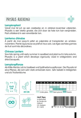 Produktbild von Lampionpflanze | Blumensamen von Hortitops