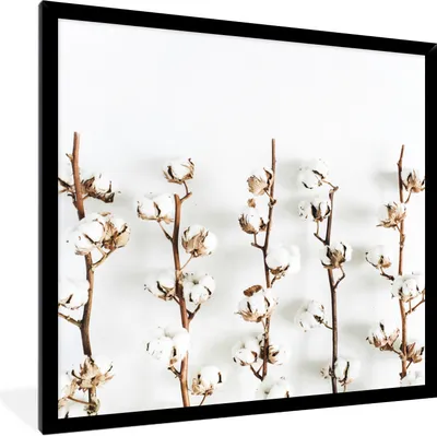 Produktbild von MuchoWow® Gerahmtes Poster Baumwolle - Weiß - Äste 40x40 cm - Poster mit Schwarzem Bilderrahmen Wandposter Rahmen Foto Bilder - Mit Rahmen - Wanddekoration Schlafzimmer