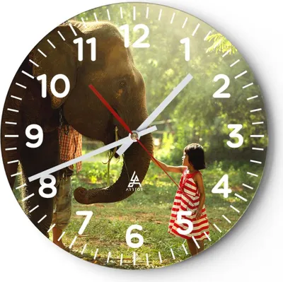 Produktbild von Wanduhr - Rund - Glasuhr - Elefant Tier - 40x40cm - Schleichendes Uhrwerk - Lautlos - zum Aufhängen bereit - Dekoration Modern - Wanddekoration aus Glas - C4AR40x40-3884