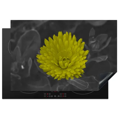 Obrázek produktu pro KitchenYeah® Kryt varné desky květiny - akvarel - pampeliška, 78x52cm, dekorace do kuchyně, keramický kryt varné desky, krycí deska na varnou desku