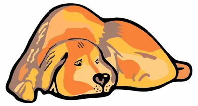 Productafbeelding van MYDOG deurmat, 40 x 75 cm, gemaakt van kokosvezel en PVC