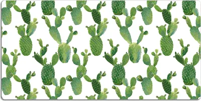 Produktbild von Schreibtischmatte Tischunterlage 100x50 cm Mauspad - Lackierte Kaktee