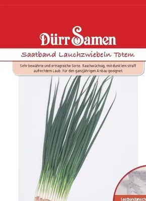 Produktbild von Lauchzwiebel Totem (Saatband) | Lauchzwiebelnsamen von Dürr Samen