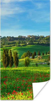 Produktbild von MuchoWow® Poster Toskana - Landschaft - Blumen 60x120 cm - Wandschmuck