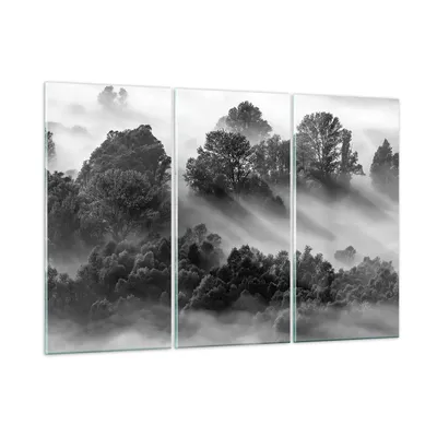 Produktbild von Bilder auf glas - 3 Teile - Schwarzweiß Bäume Nebel - 105x70cm - Glasbilder - Wandbilder - Bilder - zum Aufhängen bereit - Wanddekoration aus Glas - Glas Bilder - Wandbild auf Glas - GCE105x70-4510