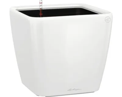 Obrázok produktu pre Kvetináč LECHUZA QUADRO Premium LS 28 biely vysoký lesk | kvetináč so zavlažovacím systémom | vysoko lesklý povrch | 28 x 28 x 26 cm | 16140