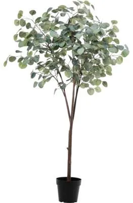 Produktbild von Kunstpflanze Eukalyptusbaum im Topf H 150 cm