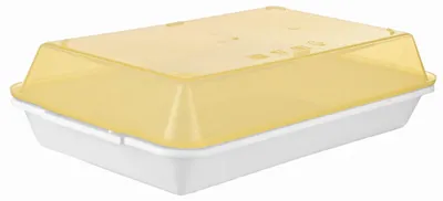 Produktbild von Epewex Kuchenbehälter verschließbar für Kuchen 29x18 cm