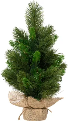 Image de EVERLANDS Edmonton Spruce 681203 indoor
