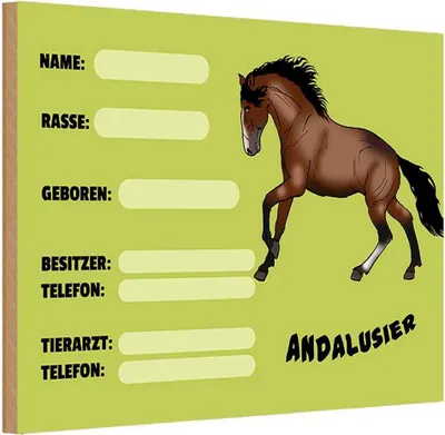 Produktbild von vianmo Holzschild 20x30 cm Pferd Andalusier Name Besitzer Rasse Tier Haustier