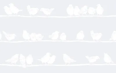 Immagine prodotto di D-c-fix Pellicola decorativa per vetri Pellicola per la privacy Protezione UV Filippa 150 x 45 cm