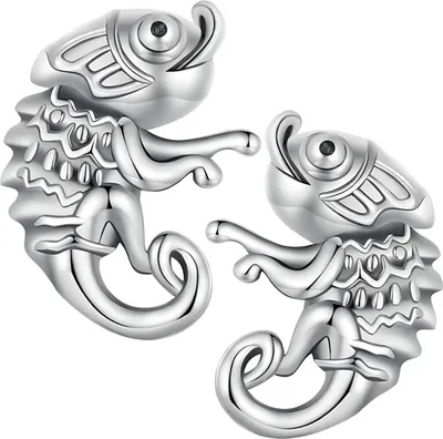 Produktbild von Silberne Ohrringe für Mädchen, 925er Silber, Trusky-Ohrringe