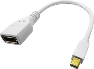 Produktbild von ROLINE DisplayPort Kabeladapter, DP BU - Mini DP ST, 0,15 m