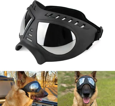 Produktbild von Hundeglas – PVC – Wasserdicht – Verstellbar – Schwarz