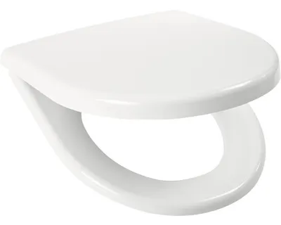 A white toilet seat is shown against a white background.
