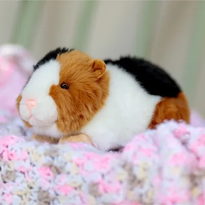 Produktbild von Meerschweinchen Animigos Kuscheltier
