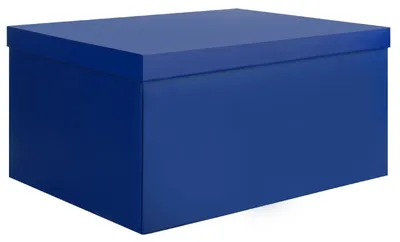 Obrázek produktu pro Velká úložná krabice s víkem 38 x 28 x 19 cm
