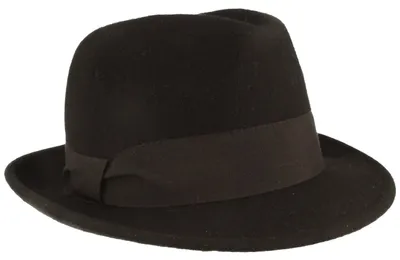 Schlichter Trilby mit Ripsband-Garnitur von Hut-Breiter in schwarz