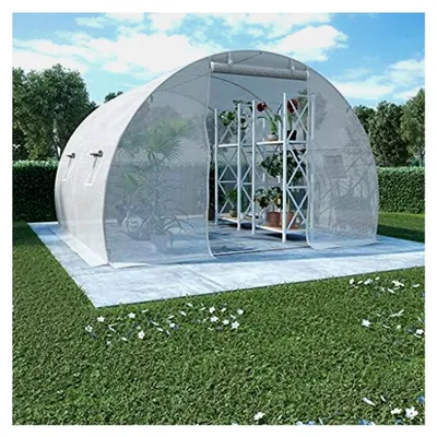 Produktbild von Gewächshaus mit 4 Seitenfenstern und 1 Tür, 9m², 300x300x200cm