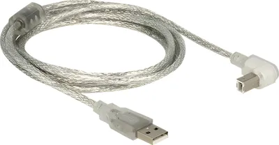 Obrázek produktu pro DeLOCK 2m, USB2.0-A/USB2.0-B, 2 m, USB A, USB B, USB 2.0, Samec/samec, Stříbrná, Průhledná