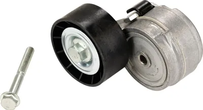 Produktbild von Flachriemenspannrolle mit Spannarm DAYCO 55184055